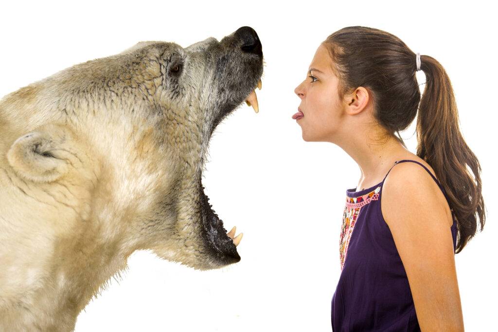 ragazza di profilo che dimostra di non aver paura facendo una boccaccia a un orso bianco con le fauci spalancate