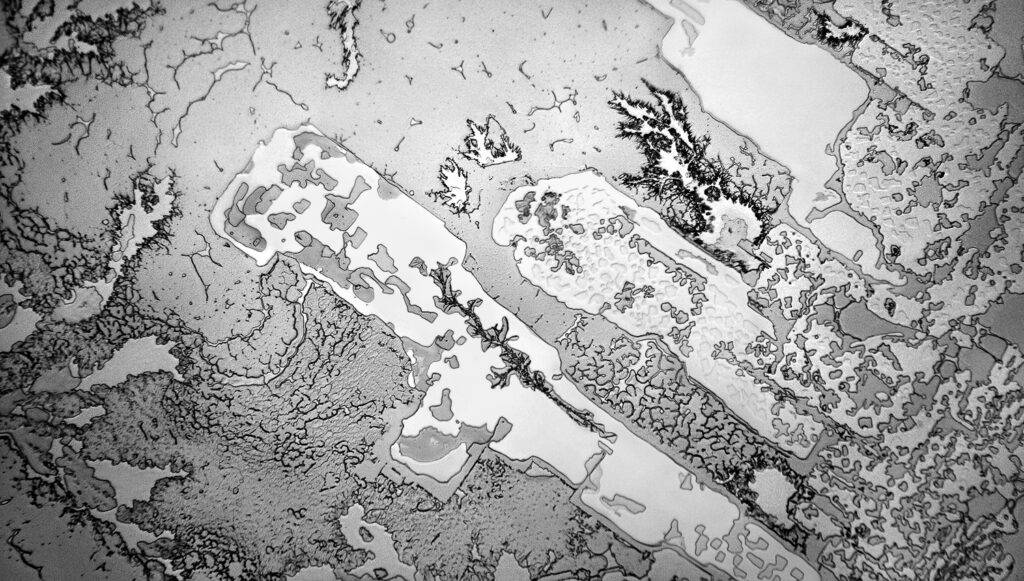 Microscope photography of tears in relation to different emotions from the Topography of Tears project